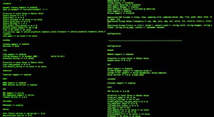 Computer Command Line Interface. CLI. UNIX bash shell. Web security