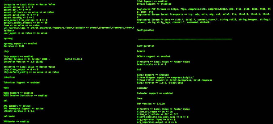 Computer Command Line Interface. CLI. UNIX bash shell. Web security